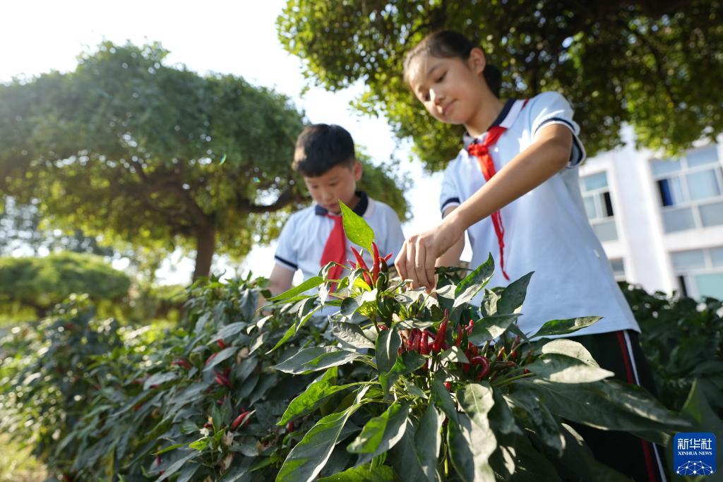 顺网游戏平台